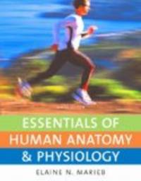  Essentials Of Human Anatomy & Physiology